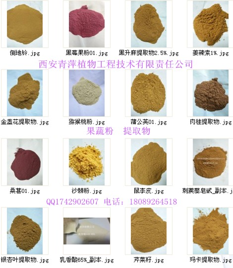 供应朝鲜蓟提取物 棕黄色粉末