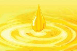 植物（精油）提取物在水产养殖上的研究进展