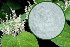 研究表明白藜芦醇或是有效的“太空补品”