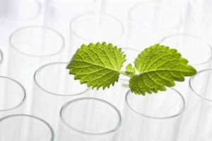 我国植物提取物产业兴于民间，发展迅猛!