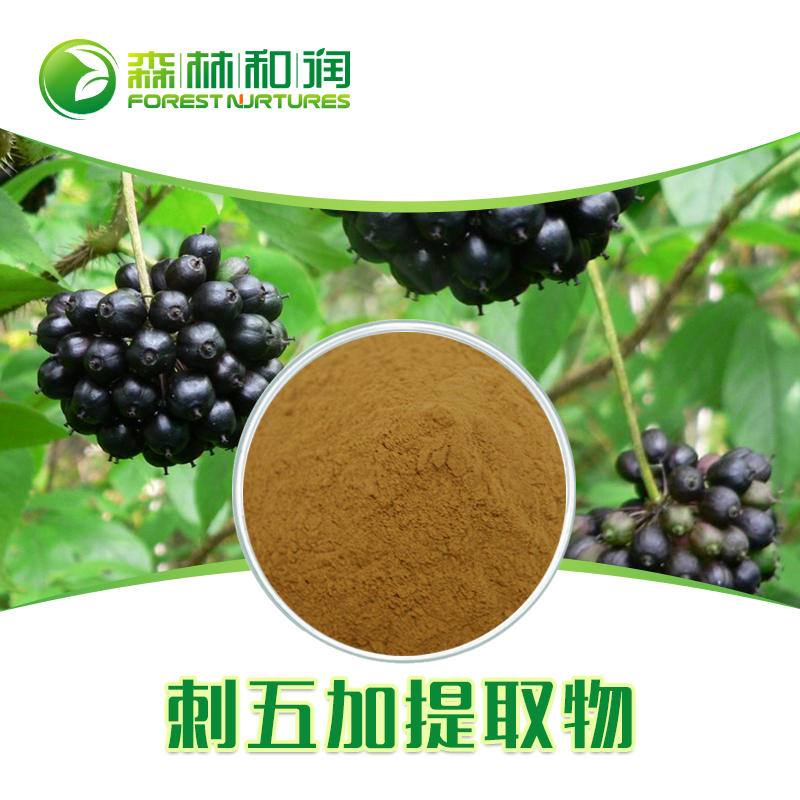 刺五加 刺五加提取物 苷B+E0.8% 规格齐全 厂家供应