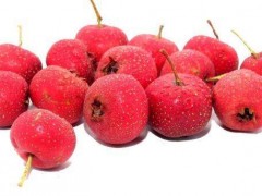 中药山楂的作用