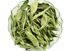 甜叶菊生长对环境条件的要求及栽培管理技术