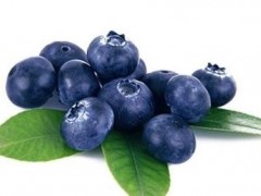 蓝莓有助治疗宫颈癌