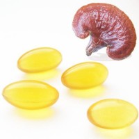 破壁灵芝孢子油