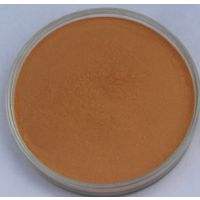 丹参提取物-丹酚酸B 9%    生产厂家，吨位现货