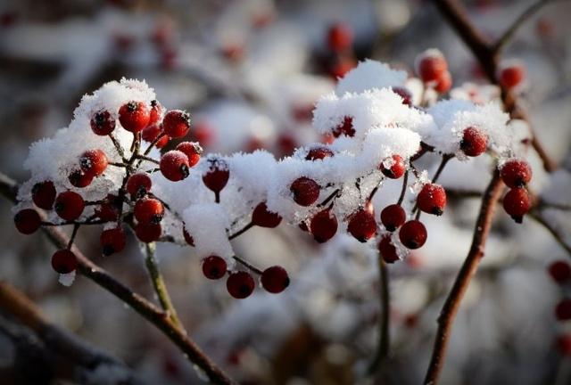 u=2140565068,1855449312&fm=173&app=49&f=JPEG