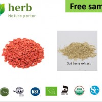 现货供应枸杞子提取物枸杞多糖