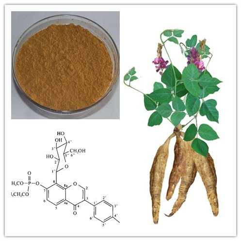 葛根素11.3% ， 葛根黄酮27.9
