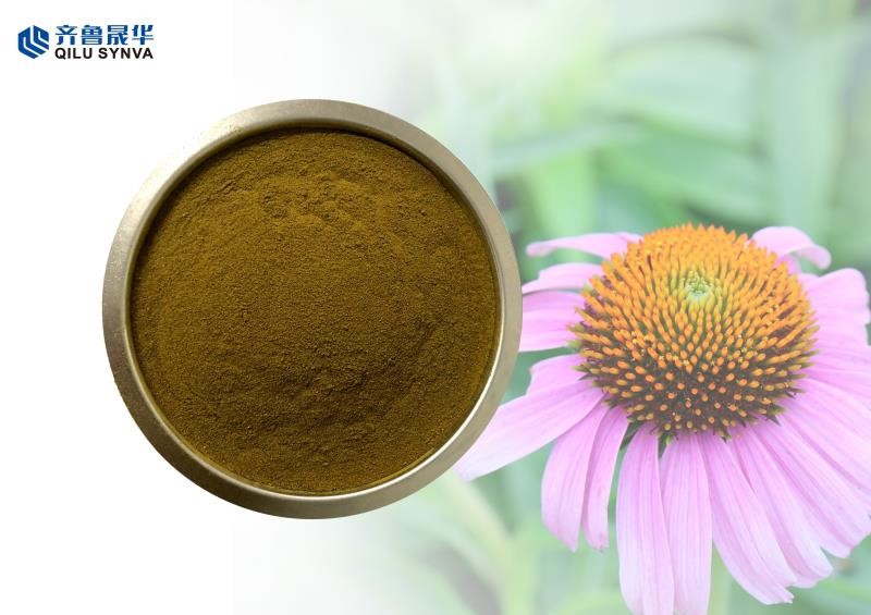 紫锥菊提取物
