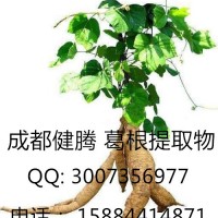 葛根提取物 吨级供货 专业生产葛根系列产品