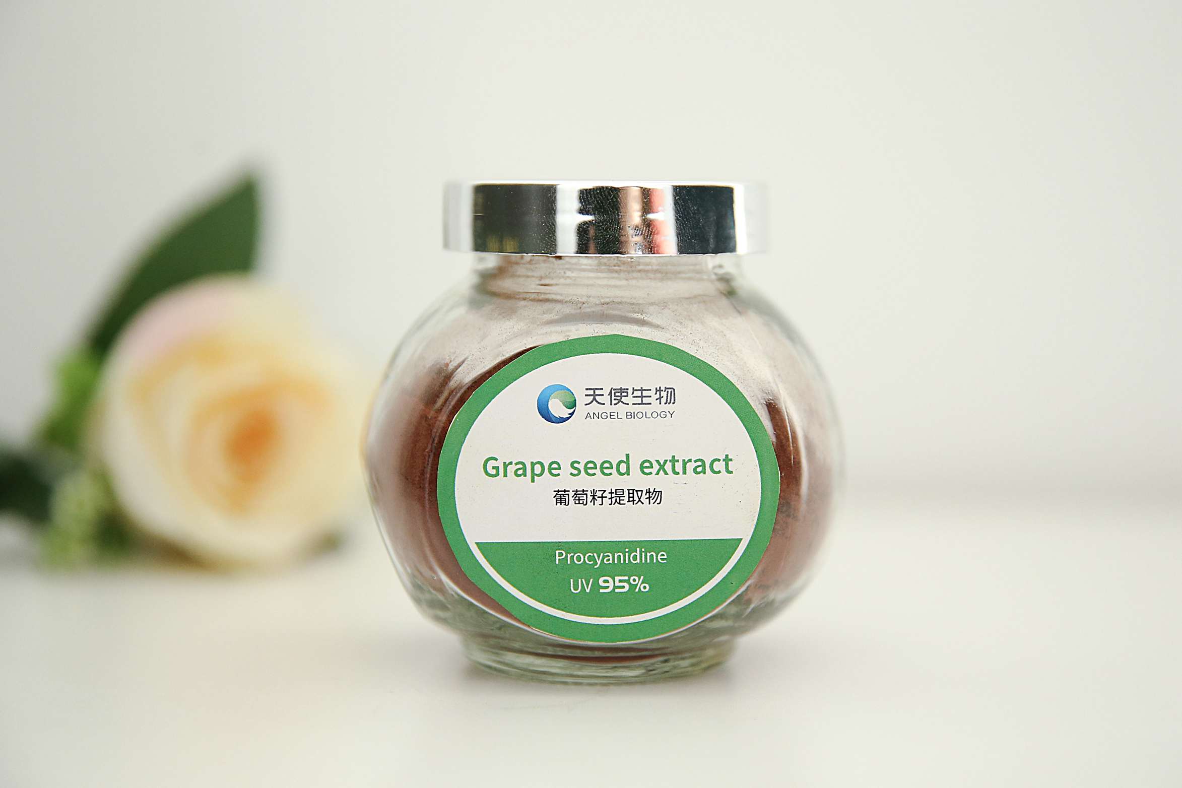 葡萄籽提取物