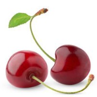 针叶樱桃提取物