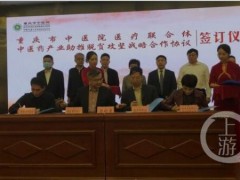 重庆创新扶贫模式：药材种植有人“兜底”，小小黄精一年能给村里挣400万