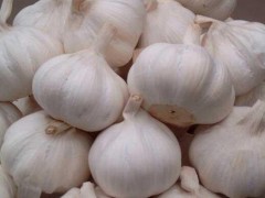 大蒜提取物在果蔬保鲜中的应用