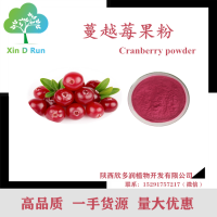 现货供应 蔓越莓果粉