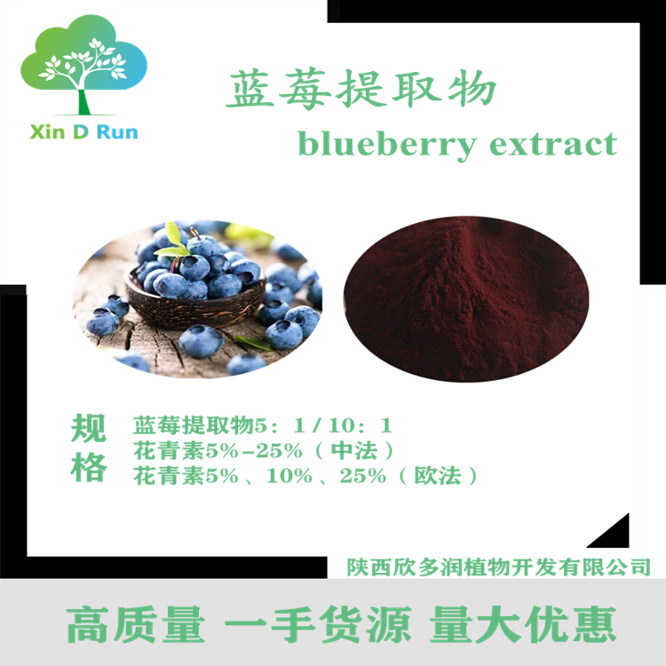 现货供应高品质 蓝莓提取物