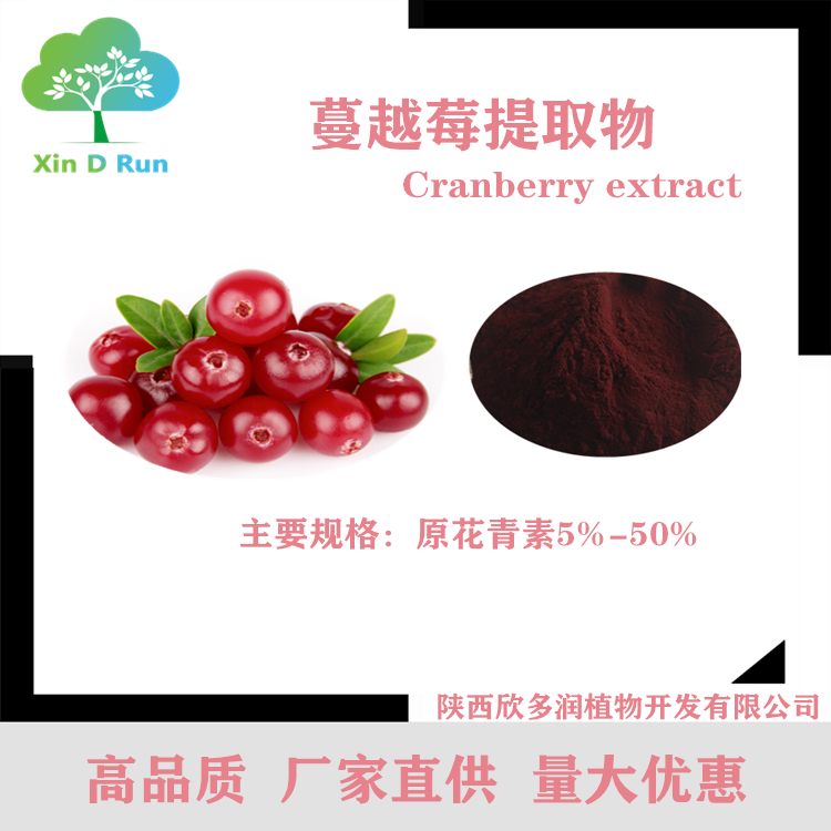 现货供应高品质 蔓越莓提取物