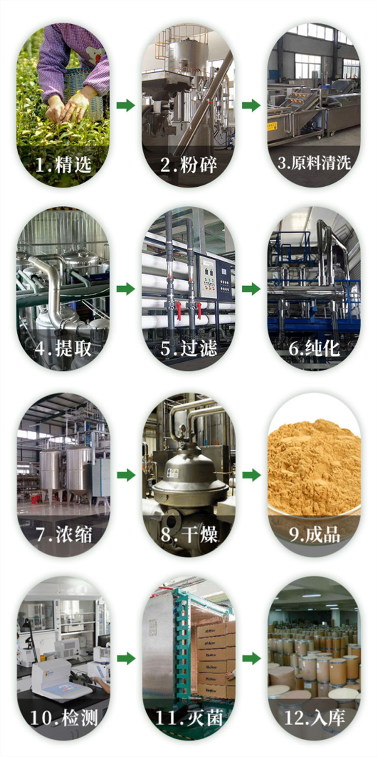 提取物生产流程