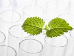 兰州海关支持甘肃省动植物提取物 拓展出口“朋友圈”