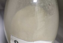 5%~95% 鼠尾草酸粉末（迷迭香提取物）