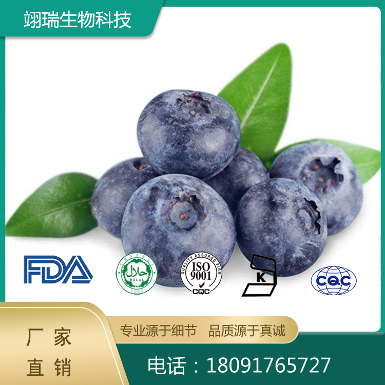 蓝莓提取物