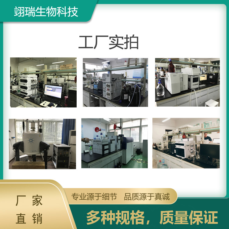 仙人掌提取物
