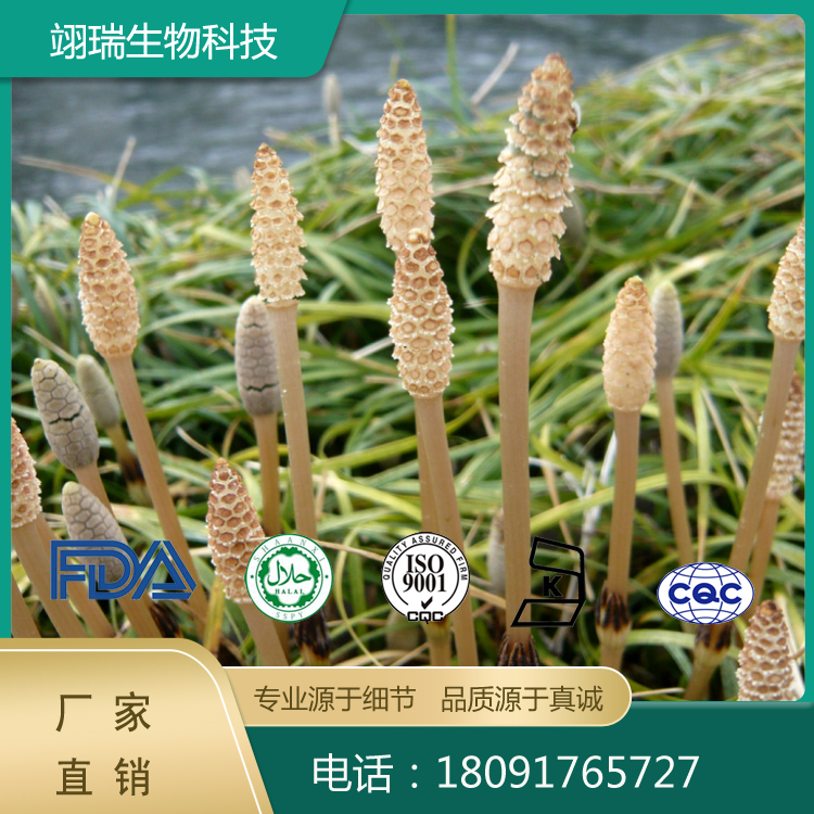 问荆提取物
