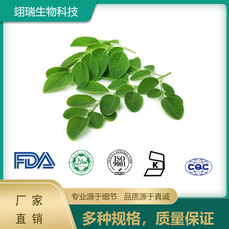 辣木提取物