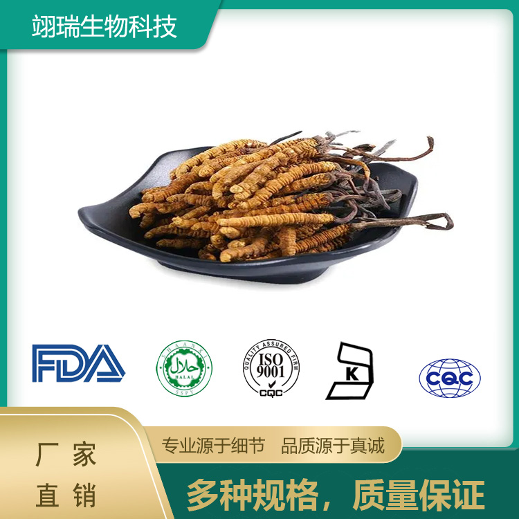 虫草提取物