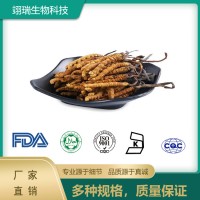 虫草提取物