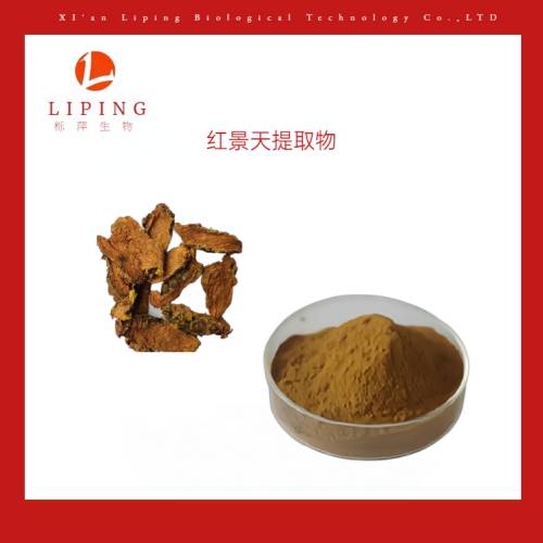 栎萍生物红景天提取物红景天甙3%
