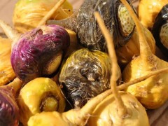 玛咖被炒的灸手可热，其实没什么用？或许这样评价玛咖更为客观！