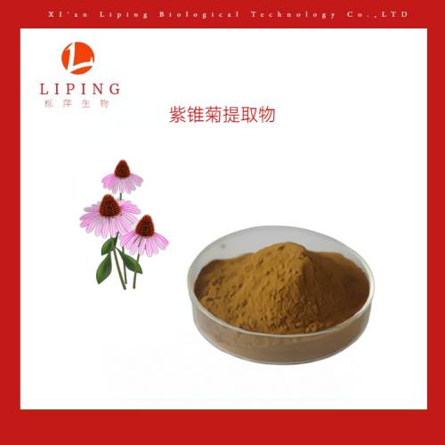 紫锥菊提取物菊苣酸