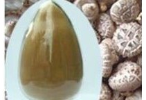 大量现货香菇提取物香菇多糖 20%