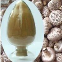 大量现货香菇提取物香菇多糖 20%