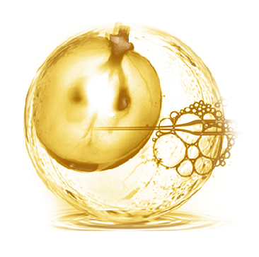 法国专利 香瓜SOD甜瓜浓缩粉 SKINAX