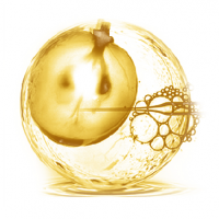 法国专利 香瓜SOD甜瓜浓缩粉 SKINAX