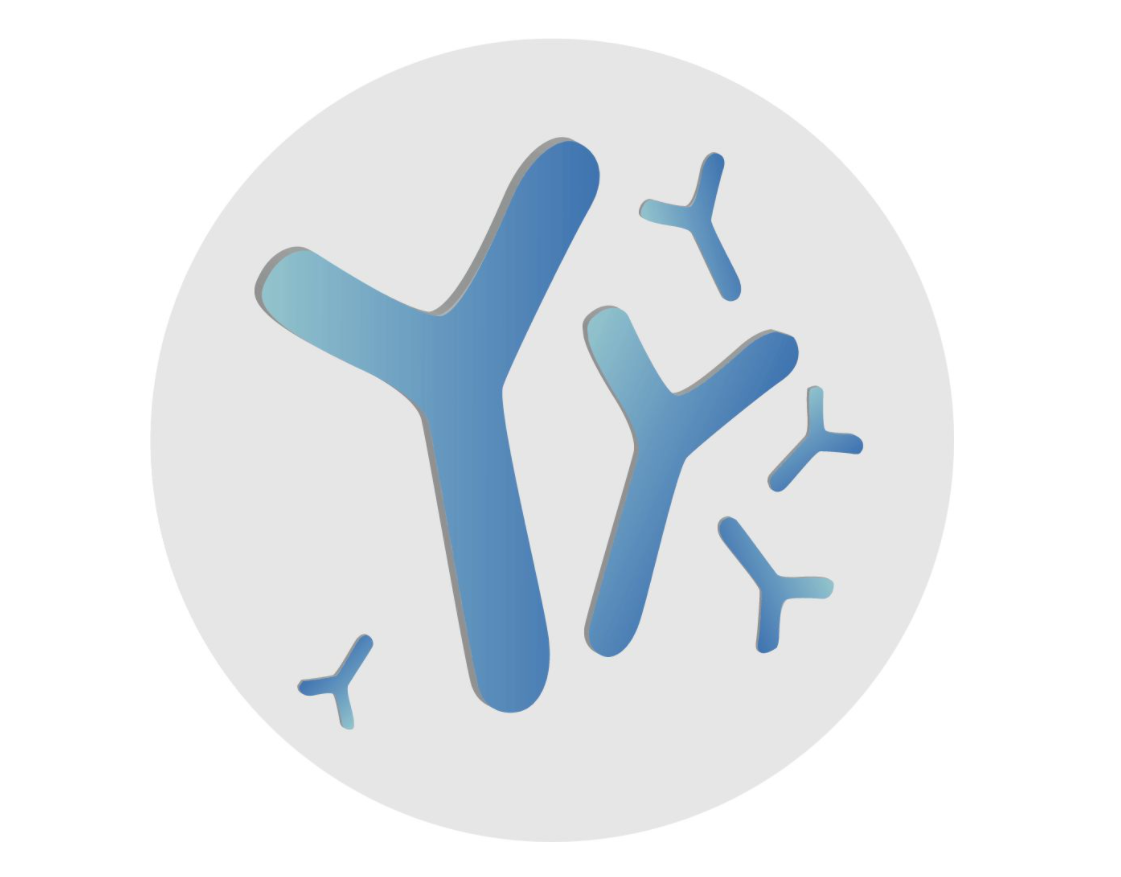 新资源食品水解蛋黄粉