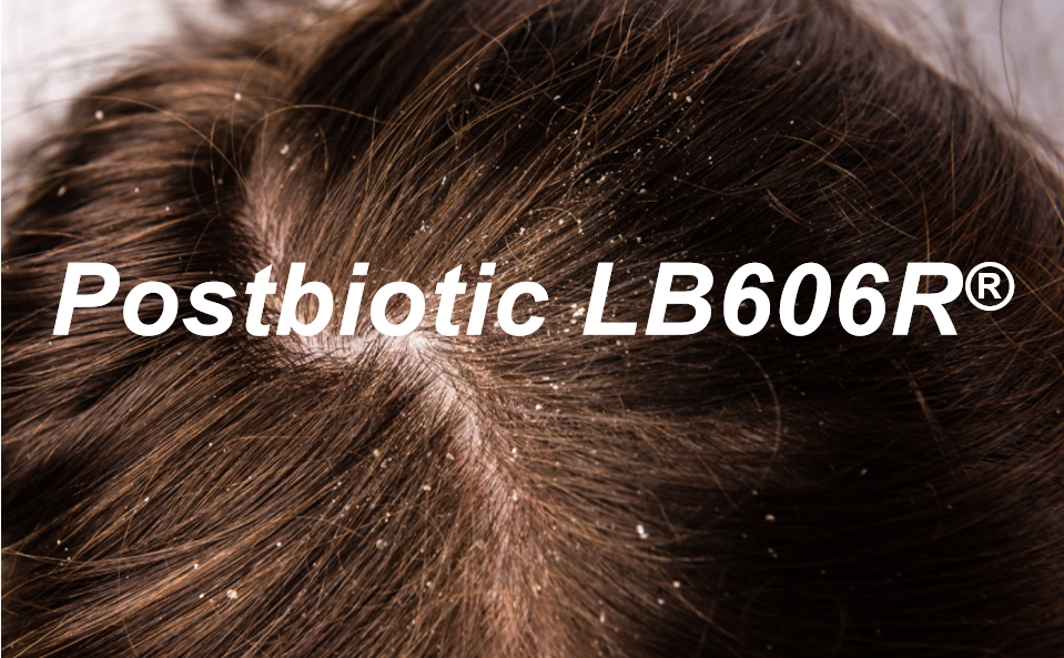 乳酸菌发酵溶胞产物-毛发救星