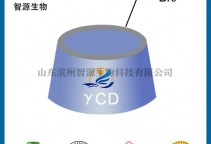 八（6-溴-6-去氧）伽马环糊精