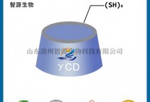 八(6-巯基-6-去氧)伽马环糊精