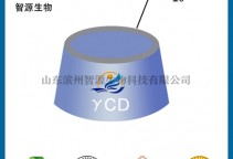 八(6-碘-6-去氧)伽马环糊精