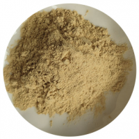 枳实多甲氧基黄酮