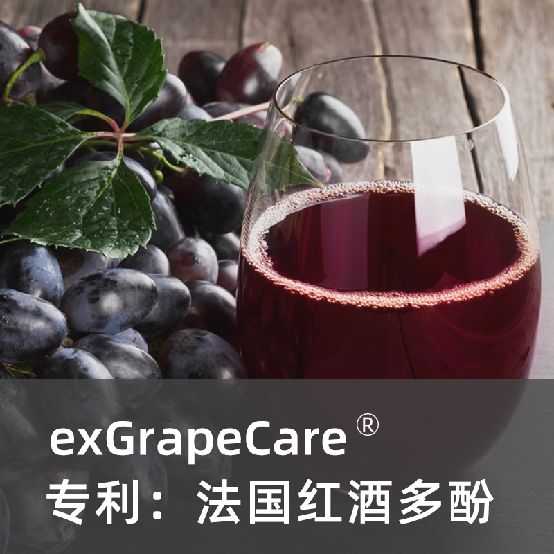 红葡萄果粉 葡萄籽提取物