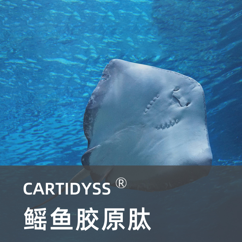 鳐鱼胶原肽（糖胺聚糖）